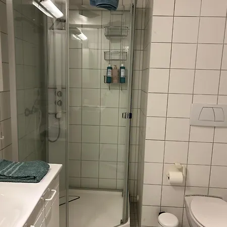 Central Apartment טרומסה